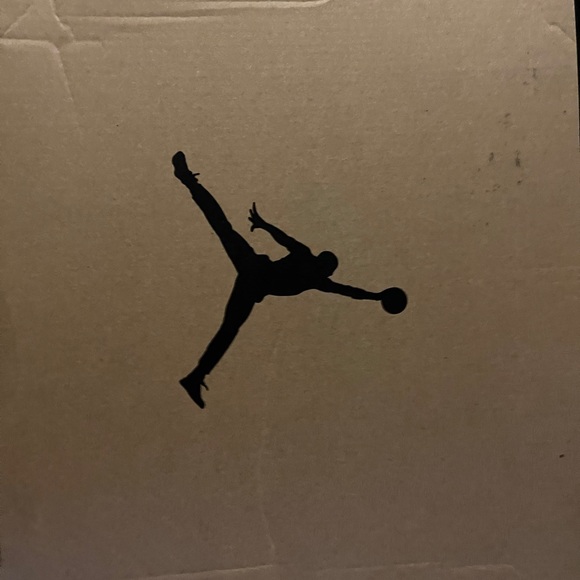 Jordan 12 Reverse flu games - Picture 13 of 13